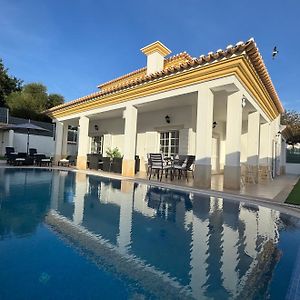 Villa Bonita Guesthouse Albufeira Old Town